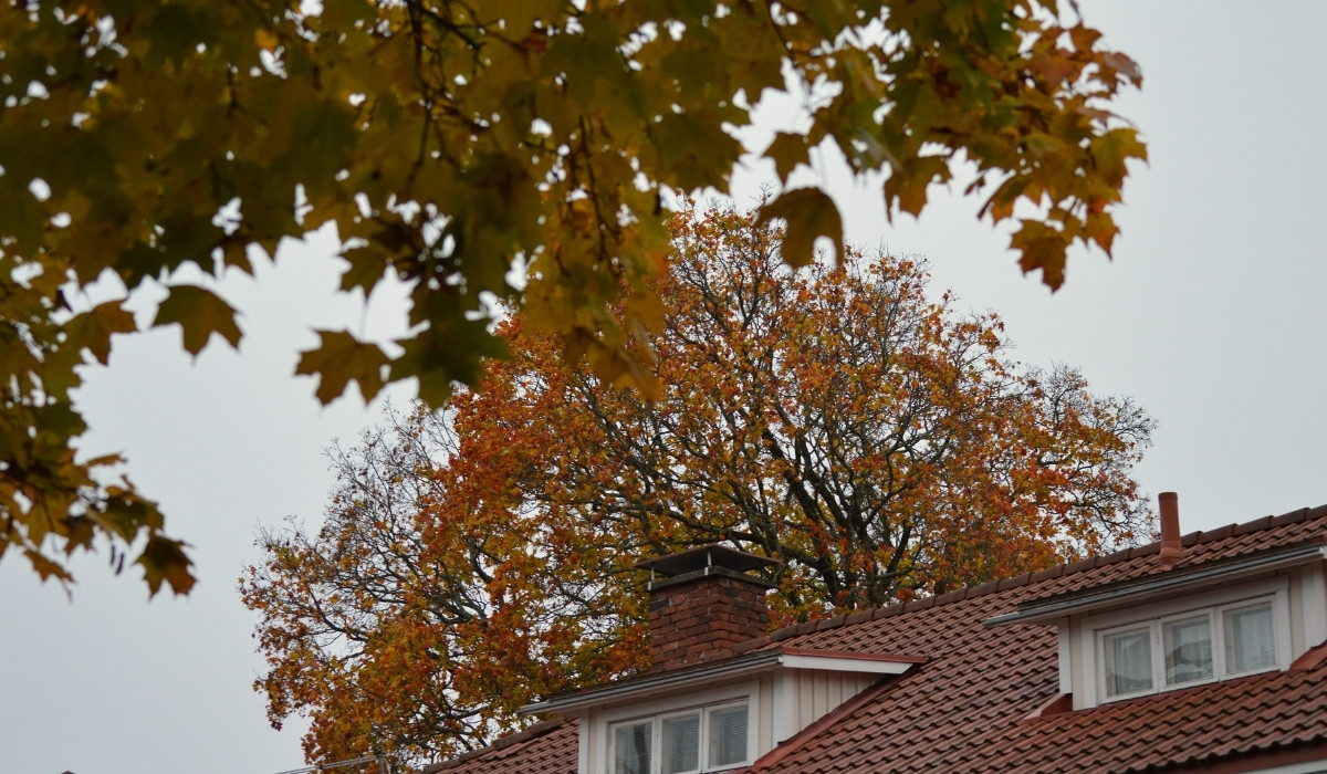 Savupiippu syksyisessä maisemassa